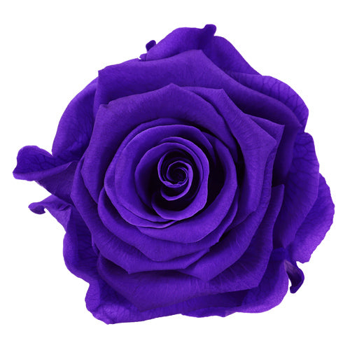 Decoración con rosas preservadas