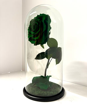 Emerald Green Rose Dome