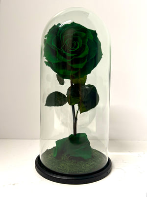 Emerald Green Rose Dome