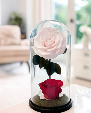 Eternal Romance Rose Dome