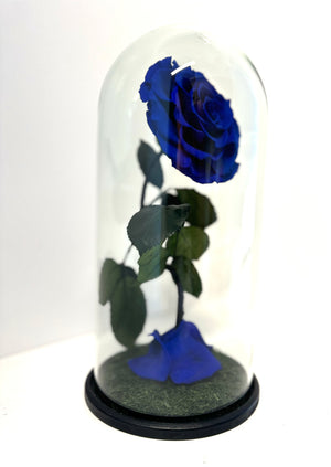 Royal Blue Preserved Rose Dome