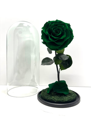 Emerald Green Rose Dome