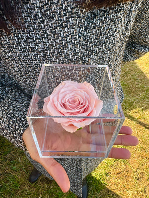 Rose Cube