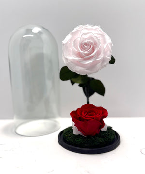 Eternal Romance Rose Dome