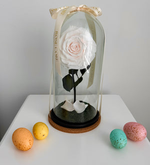 The Briar Rose Collection – A Tale of Timeless Beauty