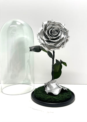 Metallic Silver Rose Dome