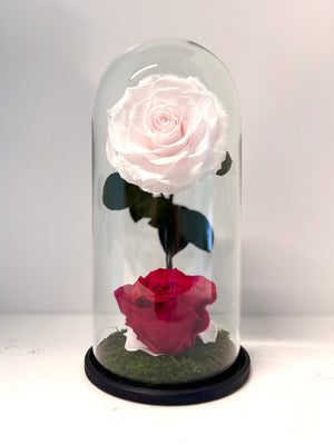 Eternal Romance Rose Dome