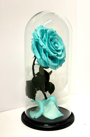 Tiffany Blue Rose Dome