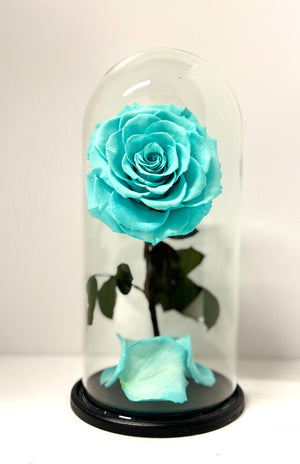 Tiffany Blue Rose Dome