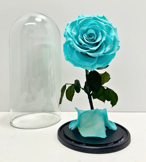 Tiffany Blue Rose Dome