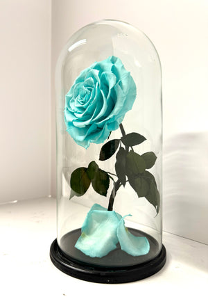 Tiffany Blue Rose Dome