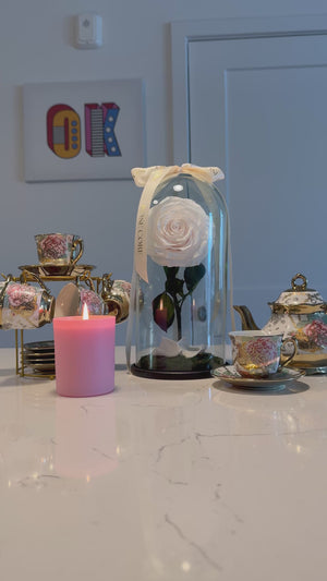 The Briar Rose Collection – A Tale of Timeless Beauty
