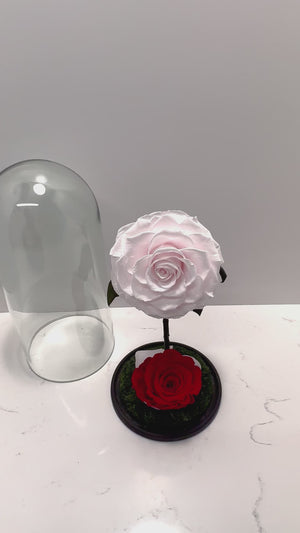 Eternal Romance Rose Dome