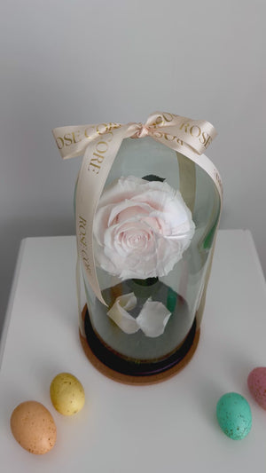The Briar Rose Collection – A Tale of Timeless Beauty