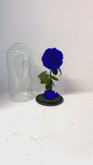 Royal Blue Preserved Rose Dome