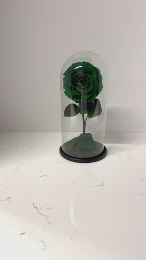 Emerald Green Rose Dome