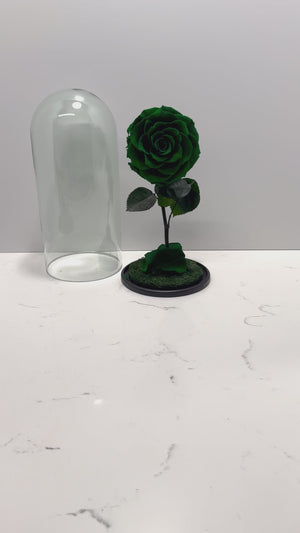 Emerald Green Rose Dome